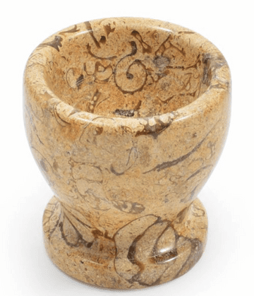 Real Fossilstone Polished Egg Cup