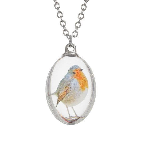 Robin Necklace - Printed robin glass pendant on a 18