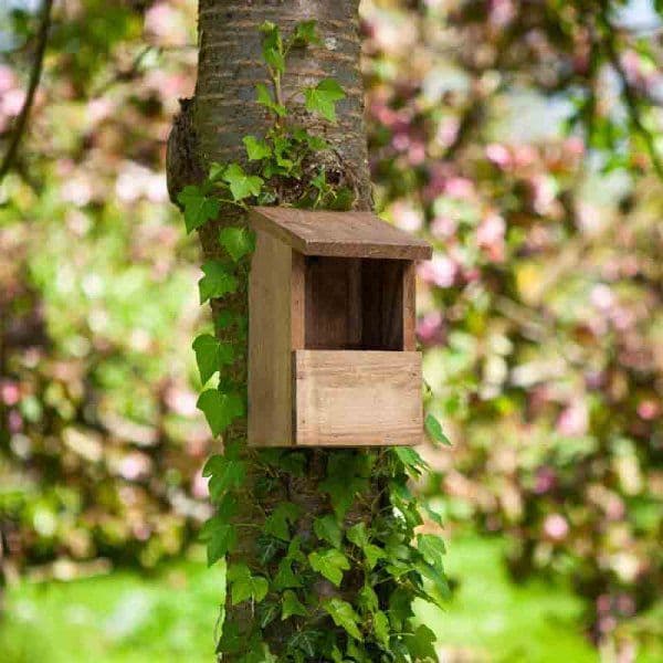 Robin Nest Box -Made with FSC Wood.