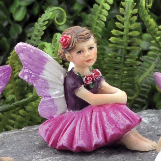 Georgetown Micro Fairy - Rose