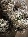 Rose of Jericho - Sanginella  (The Resurrection Plant).