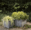 Rustic Vintage Style Square Planters - 3 sizes to choose from.