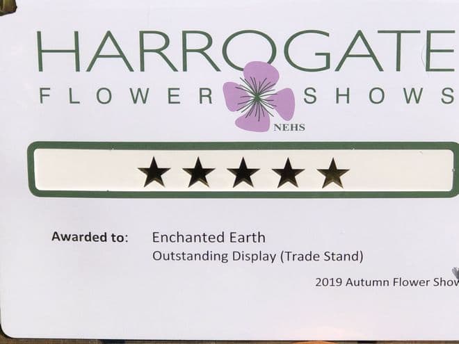 September 2019 - Best in show - at the Harrogate Autumn Flower show.