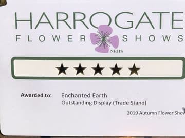 September 2019 - Best in show - at the Harrogate Autumn Flower show