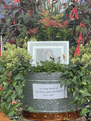 September 2022 -  4 Gold Star award a the Malvern Autumn Show.