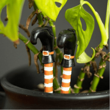 Set of 2 Witches Legs - Plant pot decorations