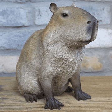 Sitting Capybara - 20cm