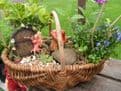 Small Lined Willow Basket