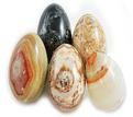 Solid Orthoceras Nautiloids  Egg.