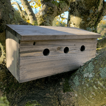 Sparrow Nest Box Terrace - 46cm