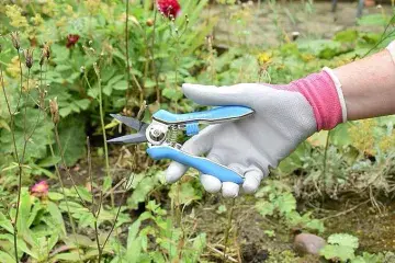 Spear & Jackson Garden Snips - Blue