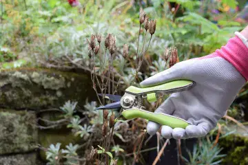 Spear & Jackson Garden Snips - Green