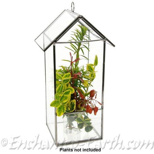 Tall Glass House Terrarium