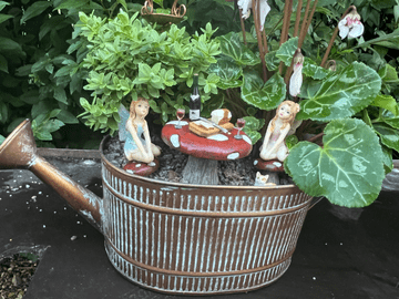 The Copper watering Can Garden