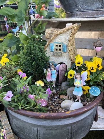 The Country Cottage Garden