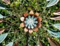 The Forgotton Garden  Wind Spinner - Petals - 196cm tall.