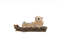 The Owl Family.