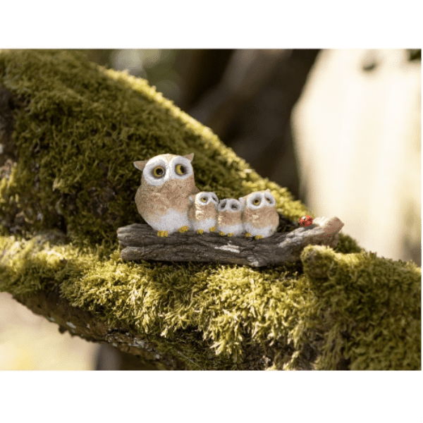 The Owl Family.