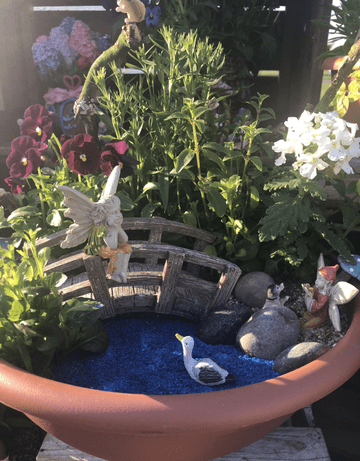 The Reflection Garden