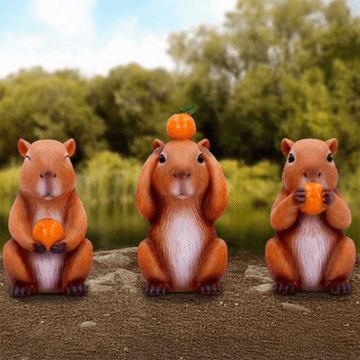 Three Wise Capybaras  - Gift Boxed