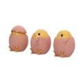 Three Wise Chicks  - Gift Boxed.