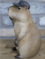 Thumbs Up Capybara - 24cm.