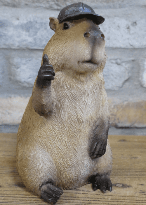 Thumbs Up Capybara - 24cm.