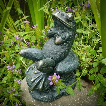 Toad on a Toadstool - 20xm
