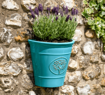 Tree of Life Wall Planter 25cm - Aqua Blue - Made From 100% recycled Plastic
