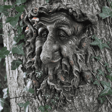 Trent The Green Man/Tree Man - Tree Plaque