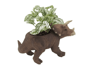 Triceratops Dinosaur Planter
