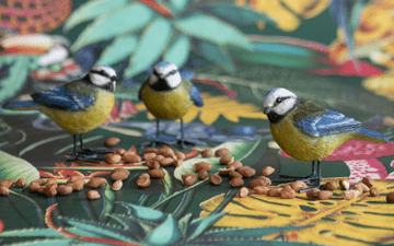 Trio of Garden Blue Tits - Birds for your home or Garden
