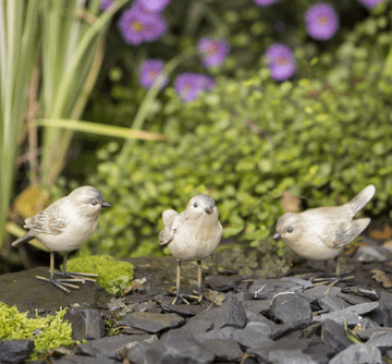 Trio of Garden Finches - Birds for your home or Garden