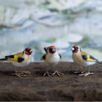 Trio of Garden GoldFinch - Birds for your home or Garden