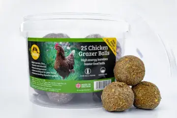 Tub of 25 -  Feldy Chicken Pecker Balls – Grazer Balls