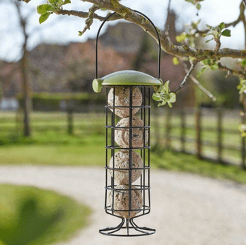 Twist Top - Suet Ball Bird Feeder - 20cm
