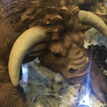Vivid Arts - Garden Sculptures - The Mythical Minotaur - 19cm.