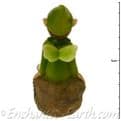 Vivid Arts- Miniature Word -Micro Leaf Fairy.