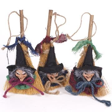 Witch on a Broomstick