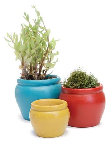Woodland Knoll - Bright Miniature Flower Pots - Set of 3