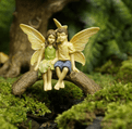 Woodland Knoll - Friendship Bridge  - Pair of Fairy pals.