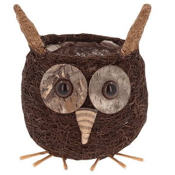 Woodland Owl - Coir Garden Planter - 19cm
