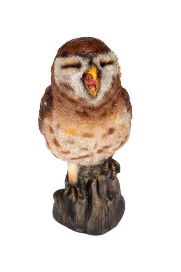 Yawning Owl - 24cm