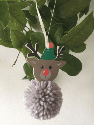 Christmas Reindeer Pom Pom Kit