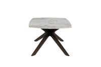 Ariya Coffee Table