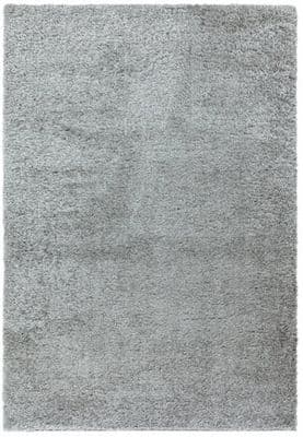 Payton Silver Rug