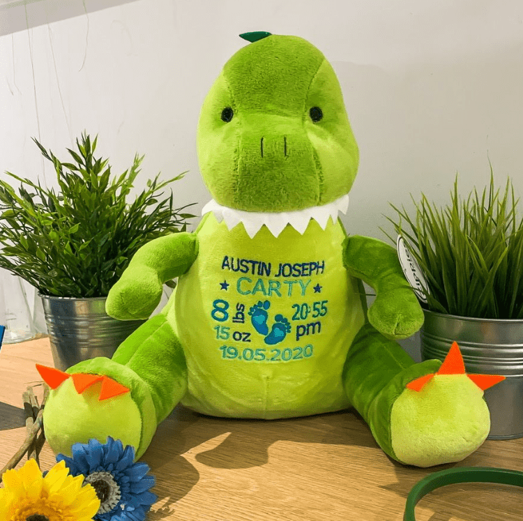Personalised New Baby Dinosaur Teddy