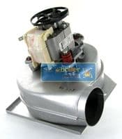FA.639 Potterton Suprima 70 80 5000859 40958901 409589 5000858 409595 5105948 5105945