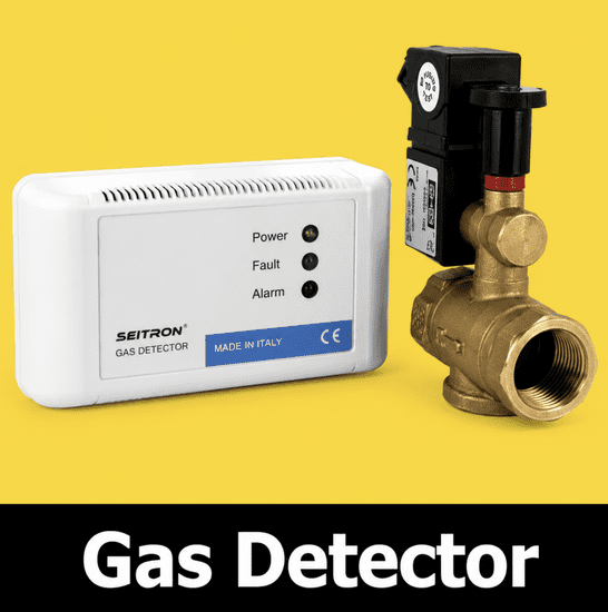 Gas Detectors