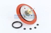RK.420 Giannoni Compatible (Multifit) Silicone 5012051 87161405530 6153101 S1067600